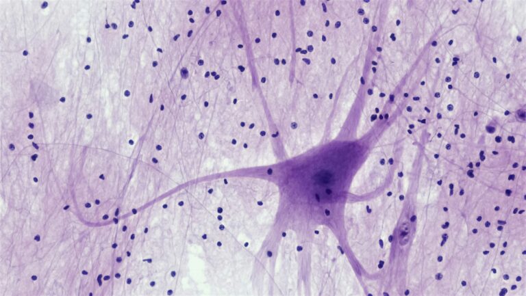 Let’s Talk About: Nervous System Regulation
